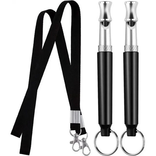 Pack dog training - 2,